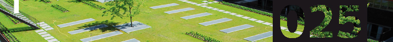 2013-05-23_pp.jpg
