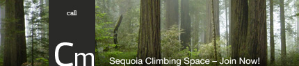 Sequoia Climbing Space