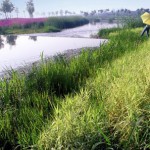 1 – A Mother River Recovered – The Sanlihe Greenway