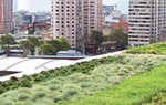 Green Roof Workshop Madrid 2012