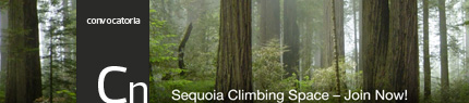 Sequoia Climbing Space